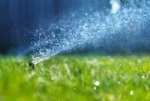 Water Restrictions Could Cost You!